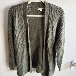 American Eagle Cardigan Sweater